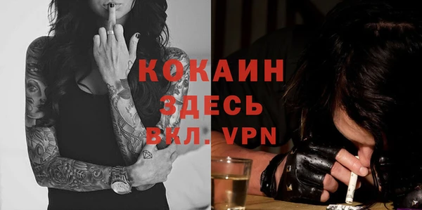 молекула духа Инсар