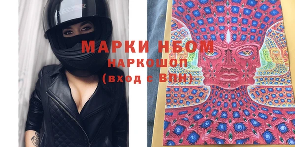 ешки Инта