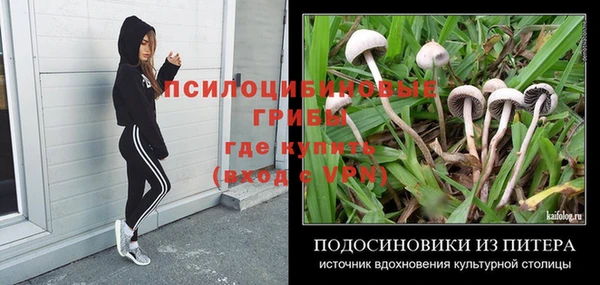 ешки Инта