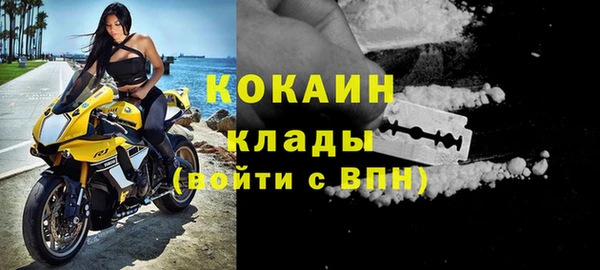 ешки Инта