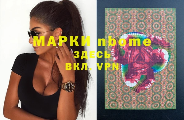 ешки Инта