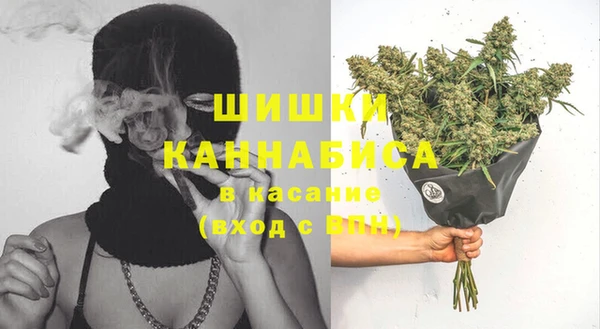 молекула духа Инсар